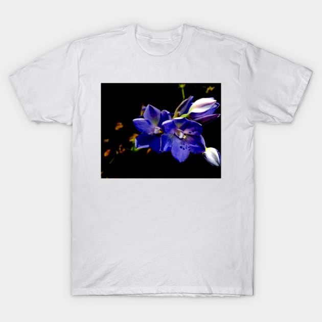 Spotted Sun Orchid T-Shirt by GP1746